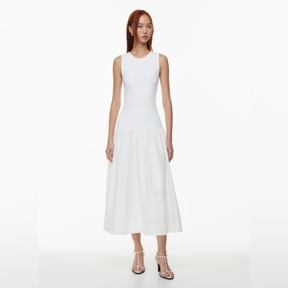 Aritzia Babaton Worldly Dress - Picture 1 of 13